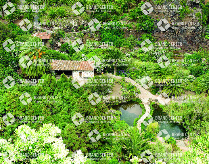 Canary garden