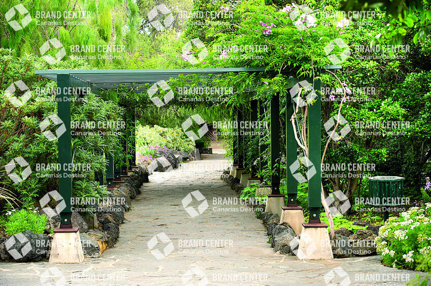 Canary garden