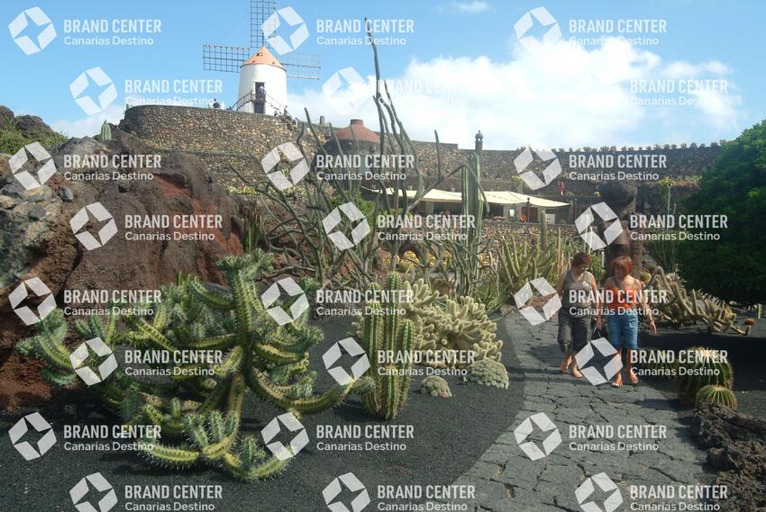 Jardín de Cactus