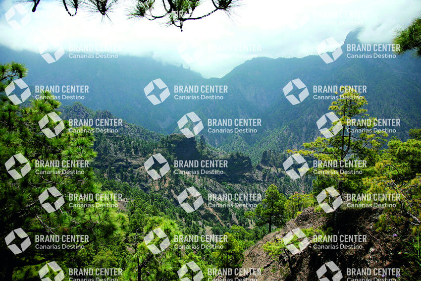 Caldera de Taburiente