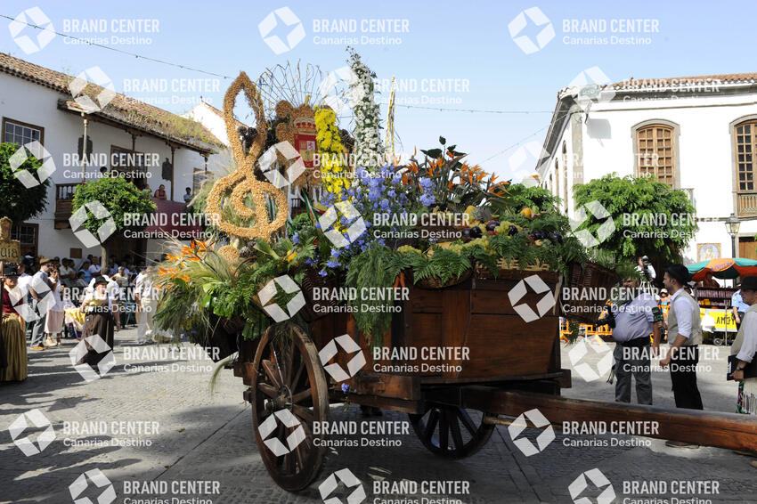 Pilgrimage Cart in Teror
