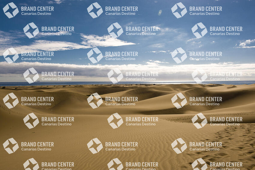 Maspalomas Dunes