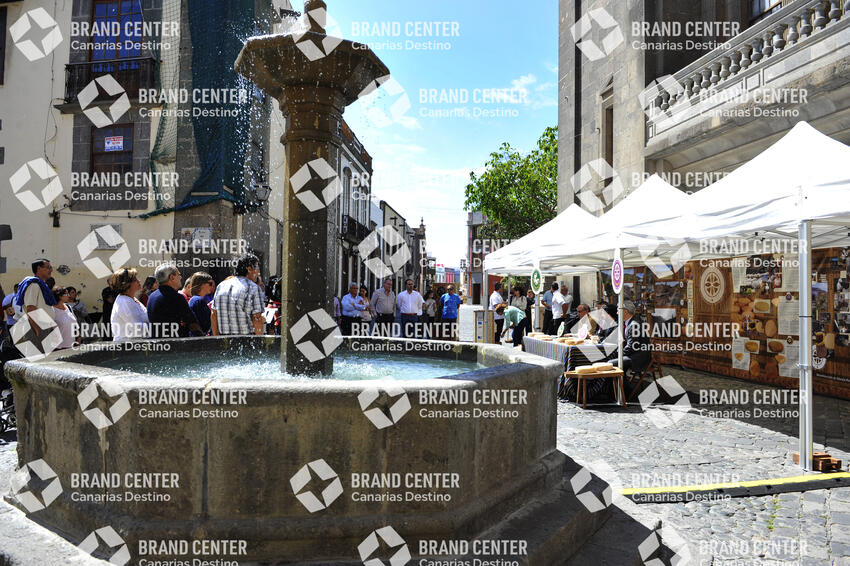 Plaza del Pilar New