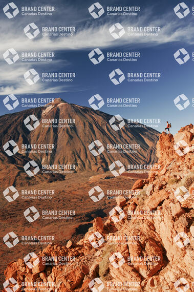 Parque Nacional del Teide