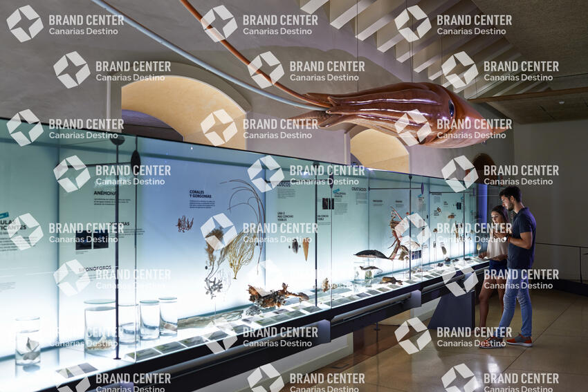 Museo de la Naturaleza y El Hombre