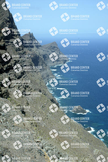 Risk in Guayedra