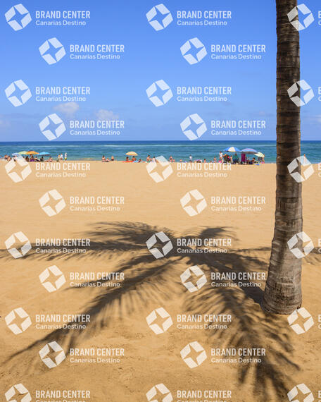 Sombra palmera playa