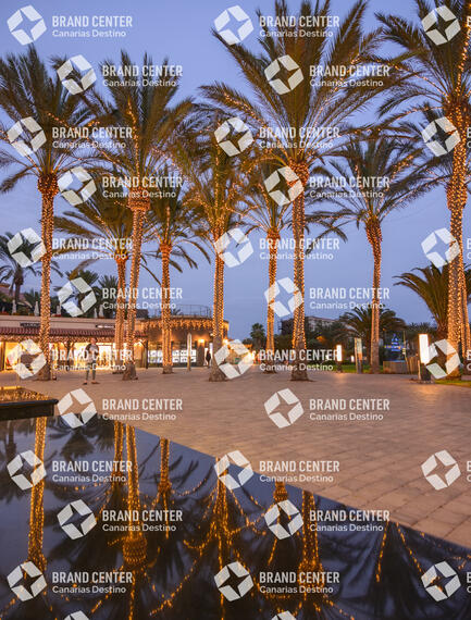 Reflejos Palmeras navidad