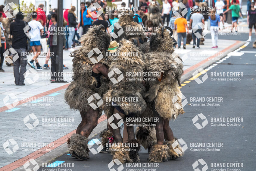 The Rams of Tigaday