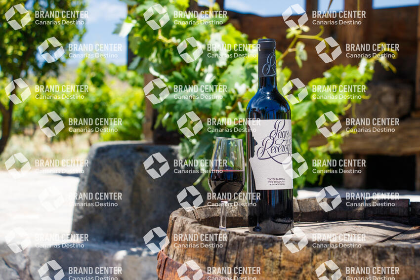 Reverón Wineries