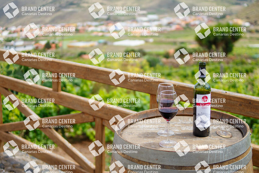 Bodegas El Lomo