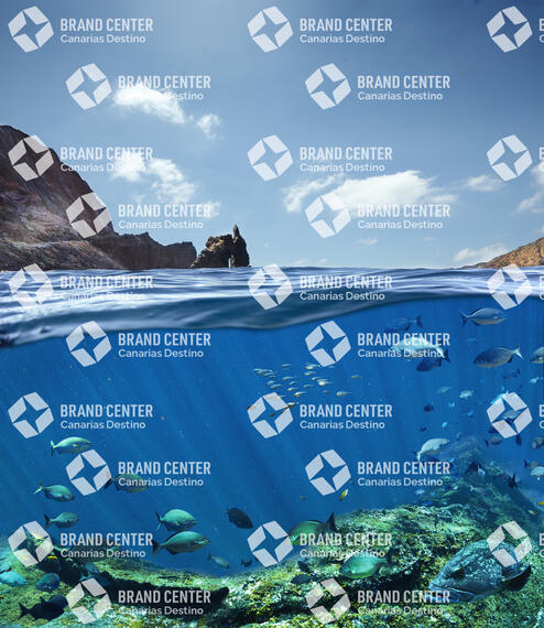 Diving in El Hierro (Illustrative montage)