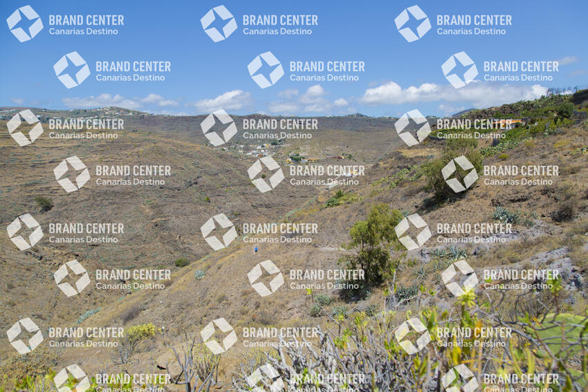 San Mateo