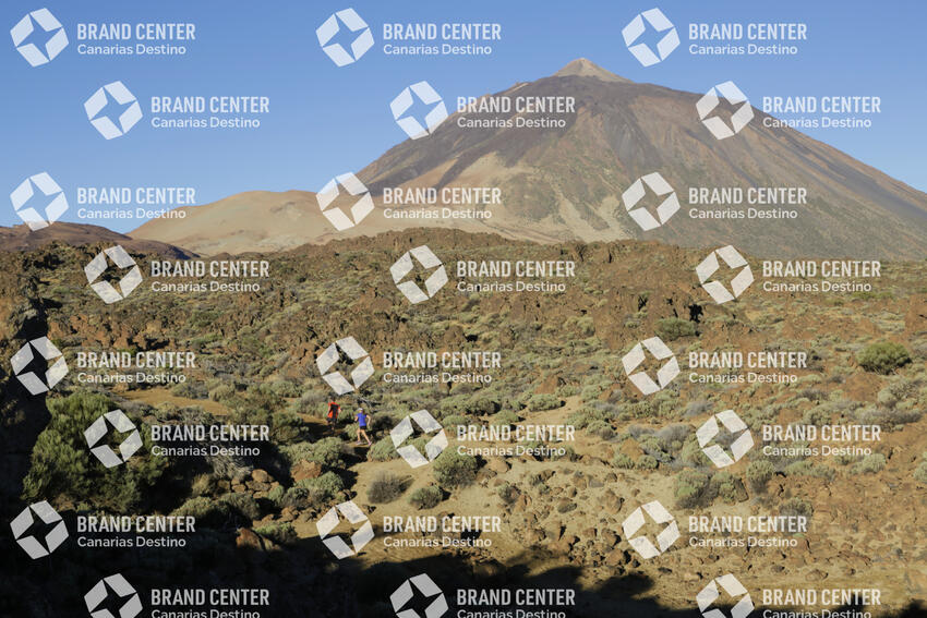 Ruta Playa del Socorro - Teide
