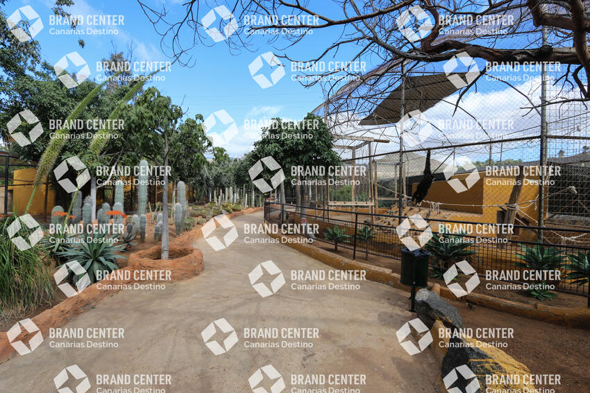 Monkey park