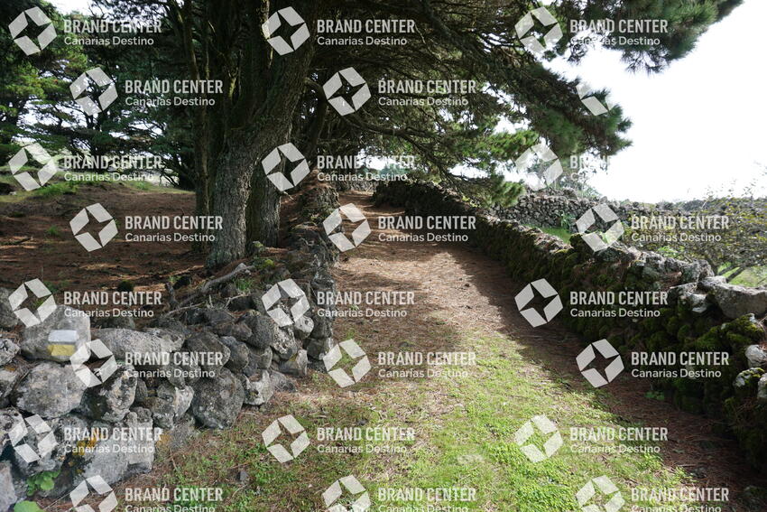 Camino La Albarrada (Rutas temáticas de senderos con guía oficial de turismo)