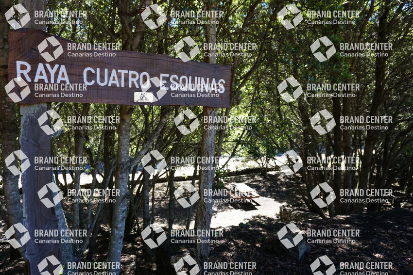 Raya de las Cuatro Esquinas - San Andrés