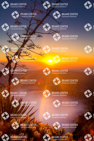 Amanecer en el cráter de Bandama