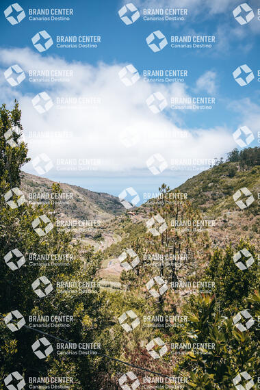Barranco de la Palmita