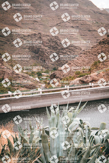 Presa de Los Chejelipes