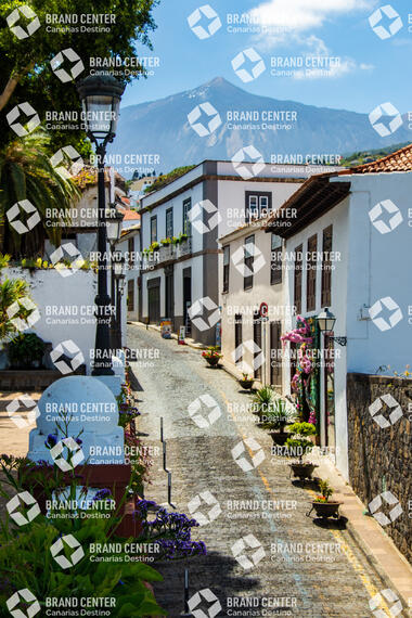 Icod de los Vinos