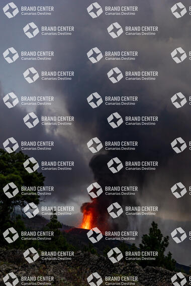 Erupción volcánica Cumbre Vieja, La Palma
