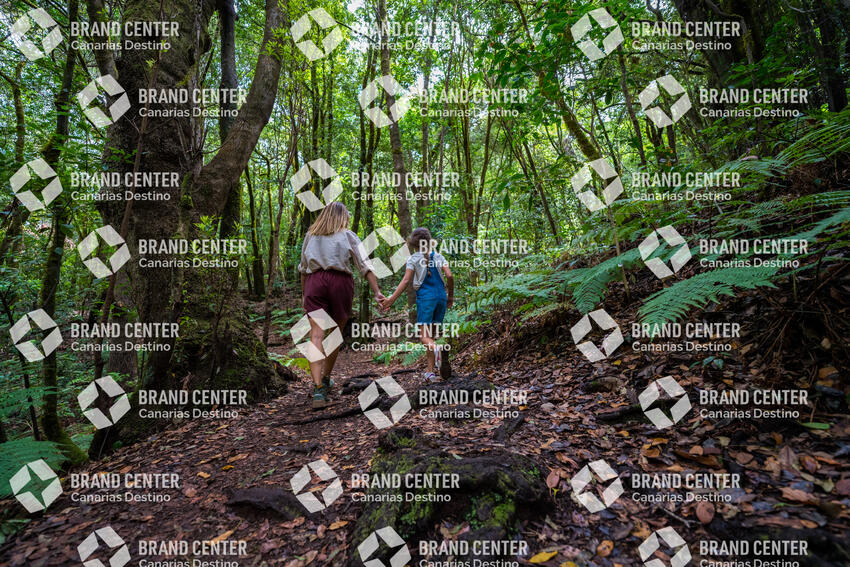 Garajonay National Park