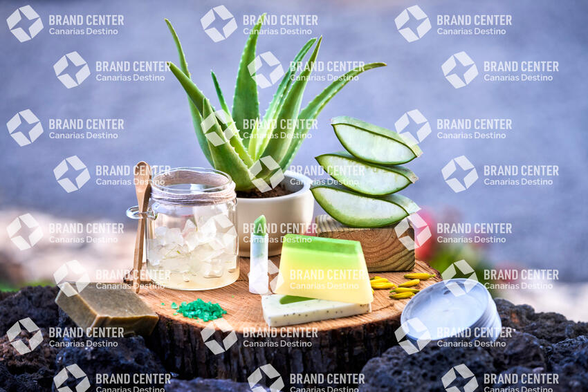 Aloe Vera - Producto Canario