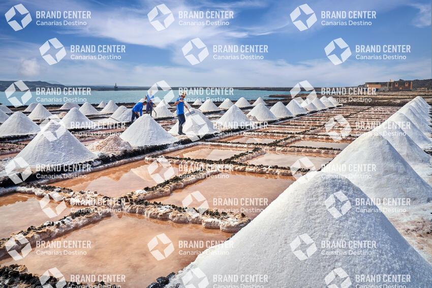 Salinas de Janubio - Producto Canario