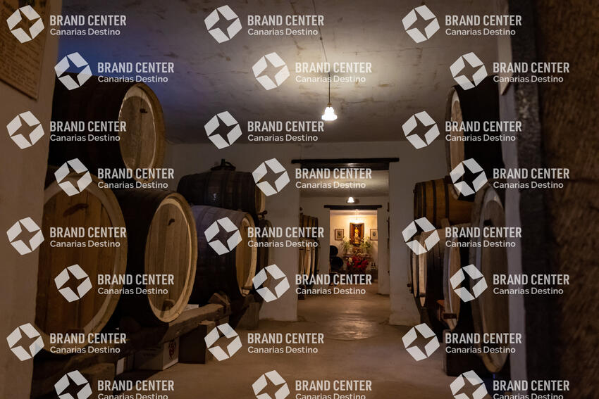 Bodega San Juan - Finca El Mocanal