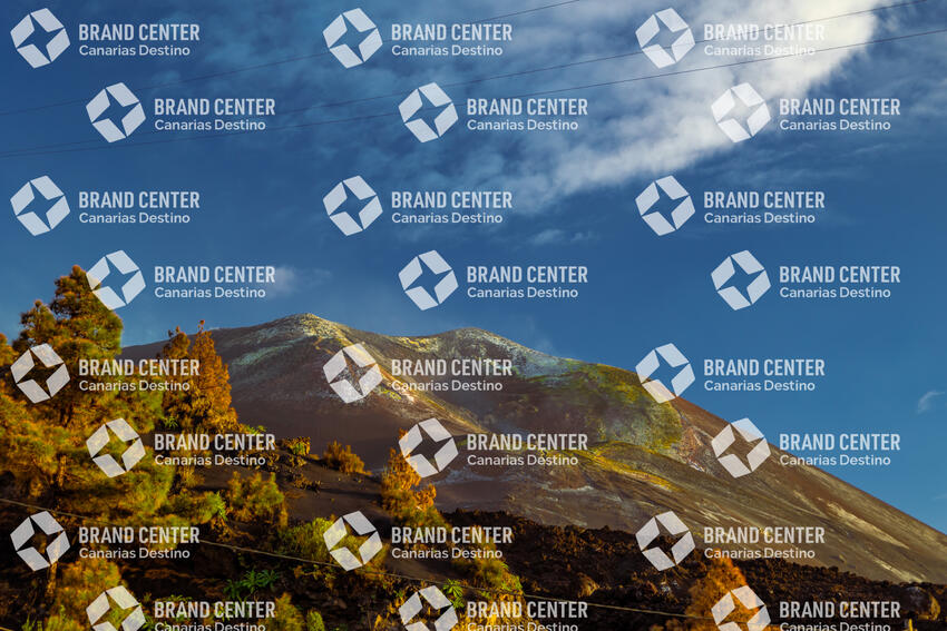 Tajogaite volcano
