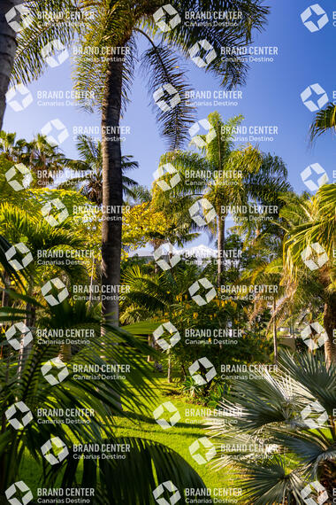 Jardínes Hotel Tigaiga