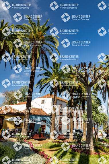 La Orotava