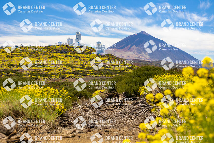 Teide Astronomical Observatory