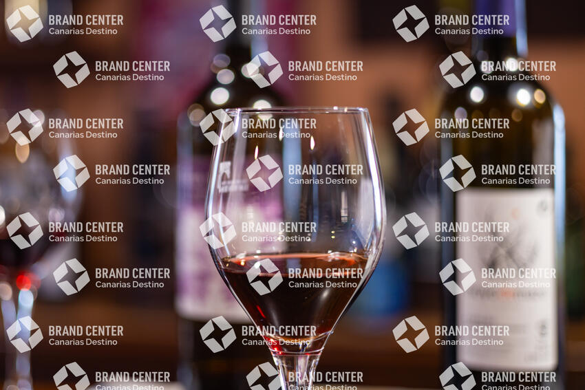 House Museum of Wine