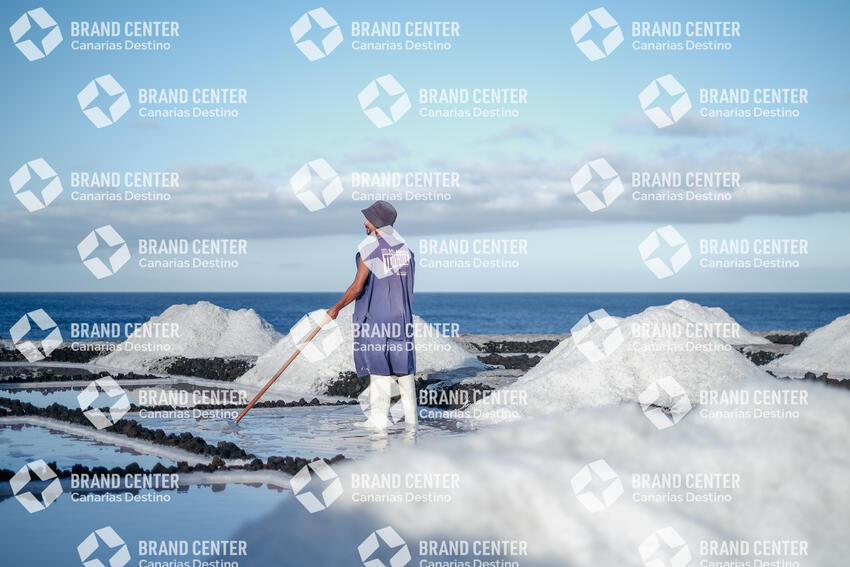 Fuencaliente Salt Flats - Environmental Initiative