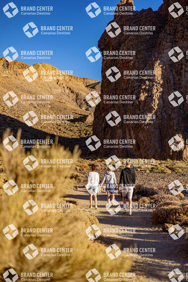 Cañadas del Teide - Roques de García