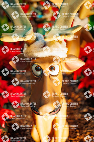 Navidad en Gáldar