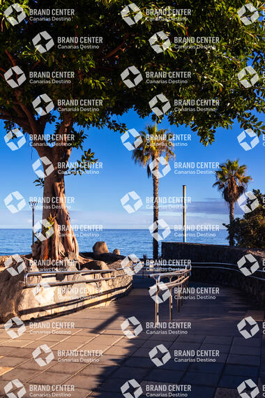 Puerto de la Cruz