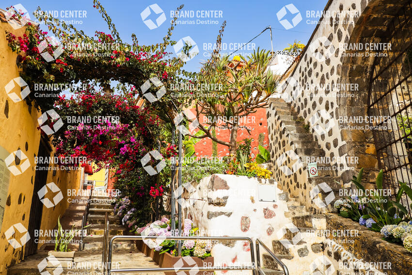 La Orotava