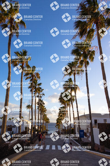 Calle con palmeras en Playa Blanca