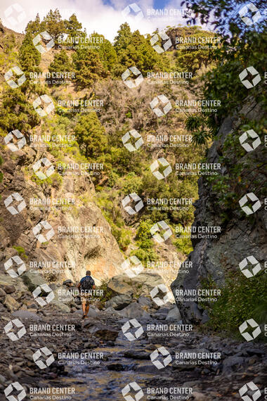 Sendero por el Barranco de las Angustias (Caldera Taburiente) hasta la Cascada de los Colores