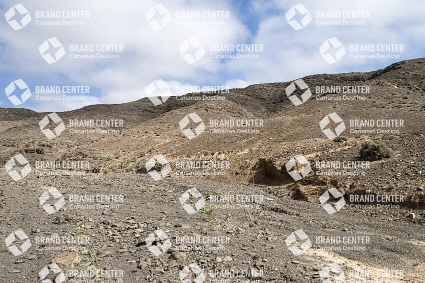 Salinas del Carmen