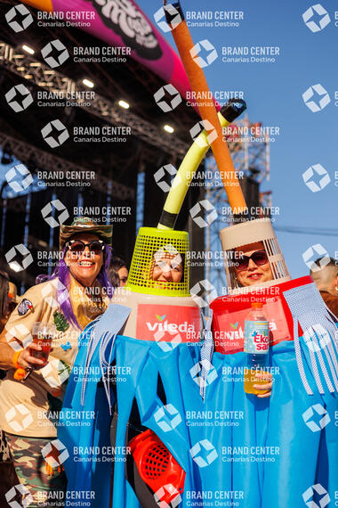 Carnaval de Día en Santa Cruz de Tenerife