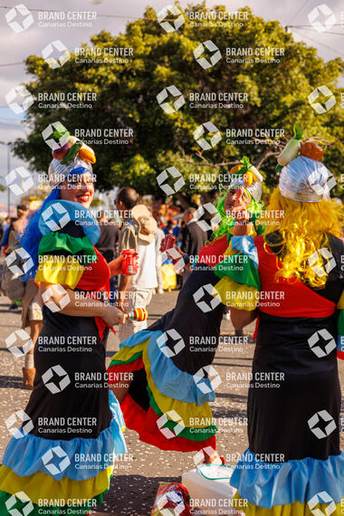 Carnaval de Día en Santa Cruz de Tenerife
