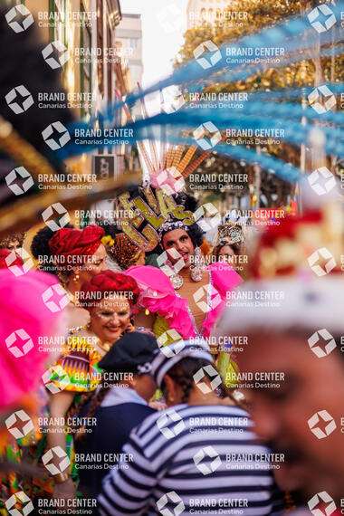 Carnaval de Día en Santa Cruz de Tenerife