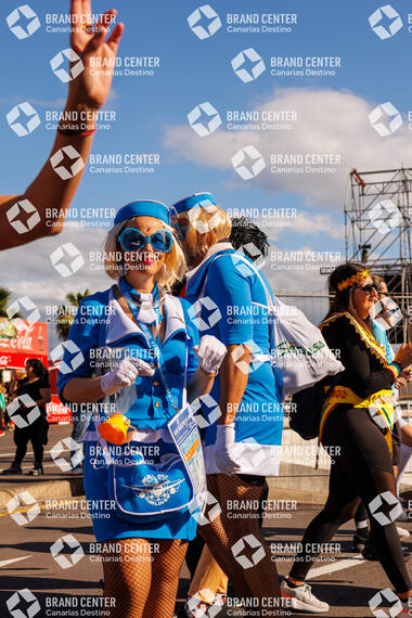 Carnaval de Día en Santa Cruz de Tenerife