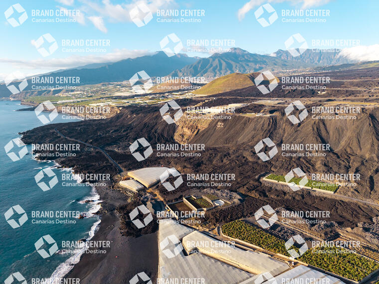 Las nuevas fajanas de La Palma