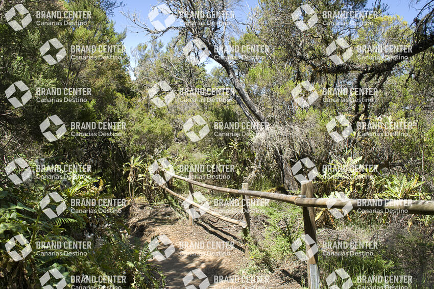 Sendero Contadero-El Cedro