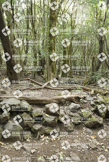 Sendero Contadero-El Cedro